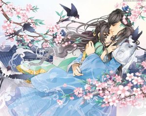 张敏美红孙倩全集